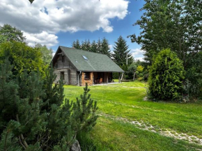 log cabin in Czech-Saxon Switzerland